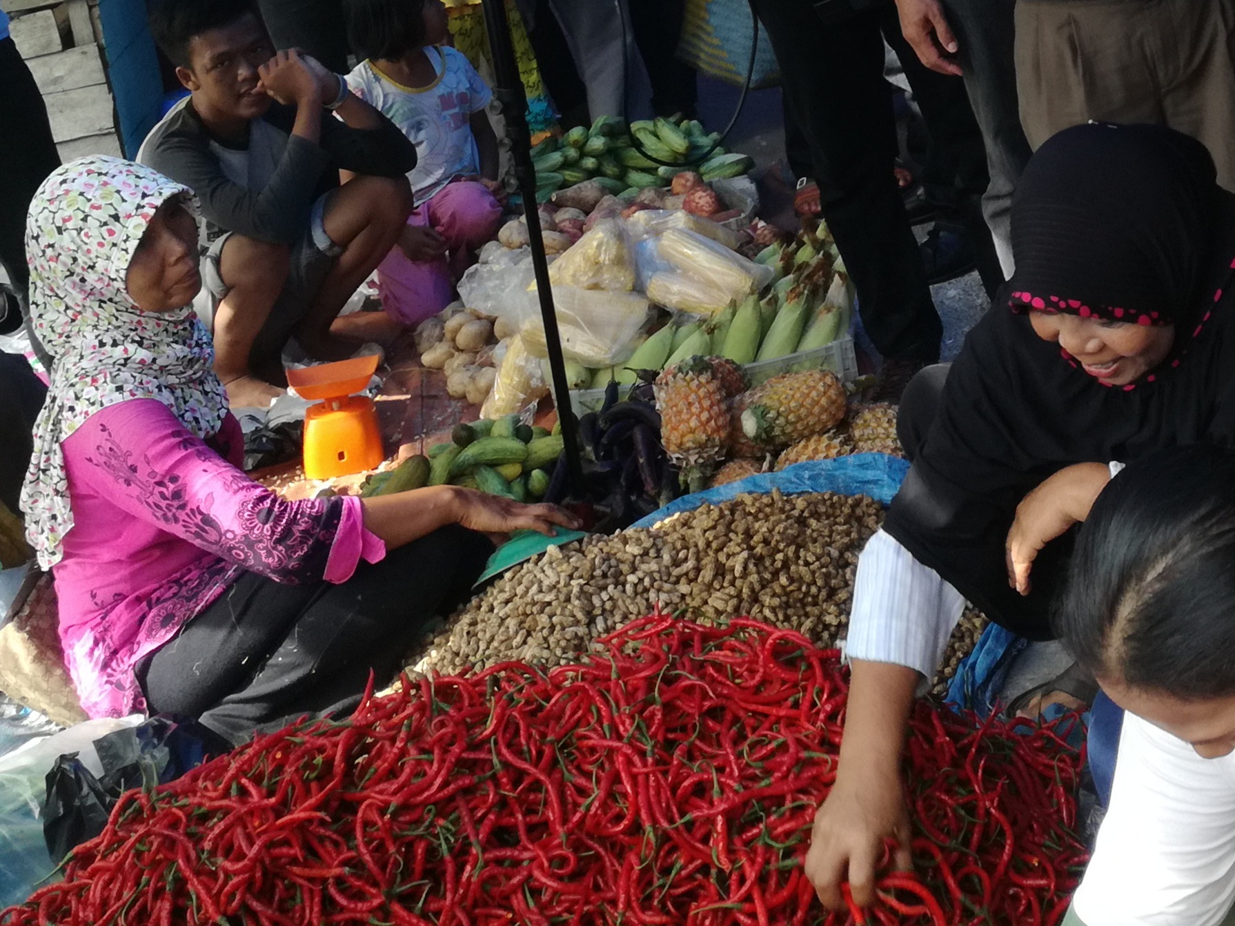 Harga cabai merah di Dumai meroket jadi Rp60 ribu per kilogram.

